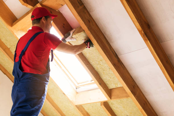 Best Attic Insulation Installation  in Warminster Heights, PA